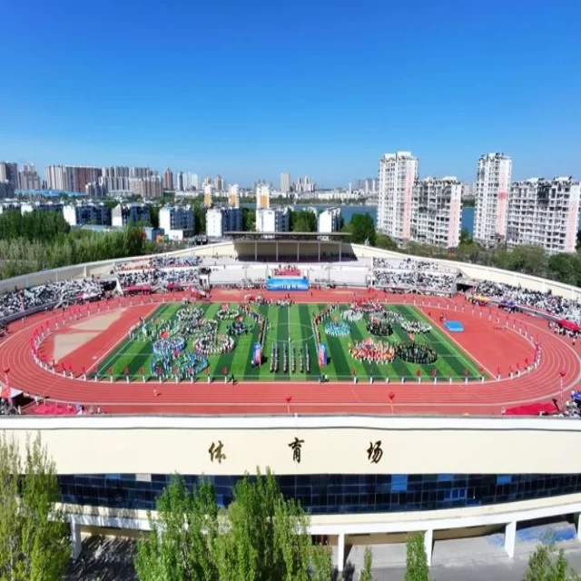 潘展乐勇夺冠军展现强劲实力